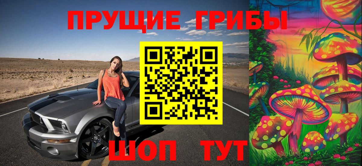 Галлюциногенные грибы Psilocybine cubensis Тверь